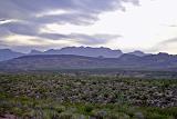 Big Bend 05